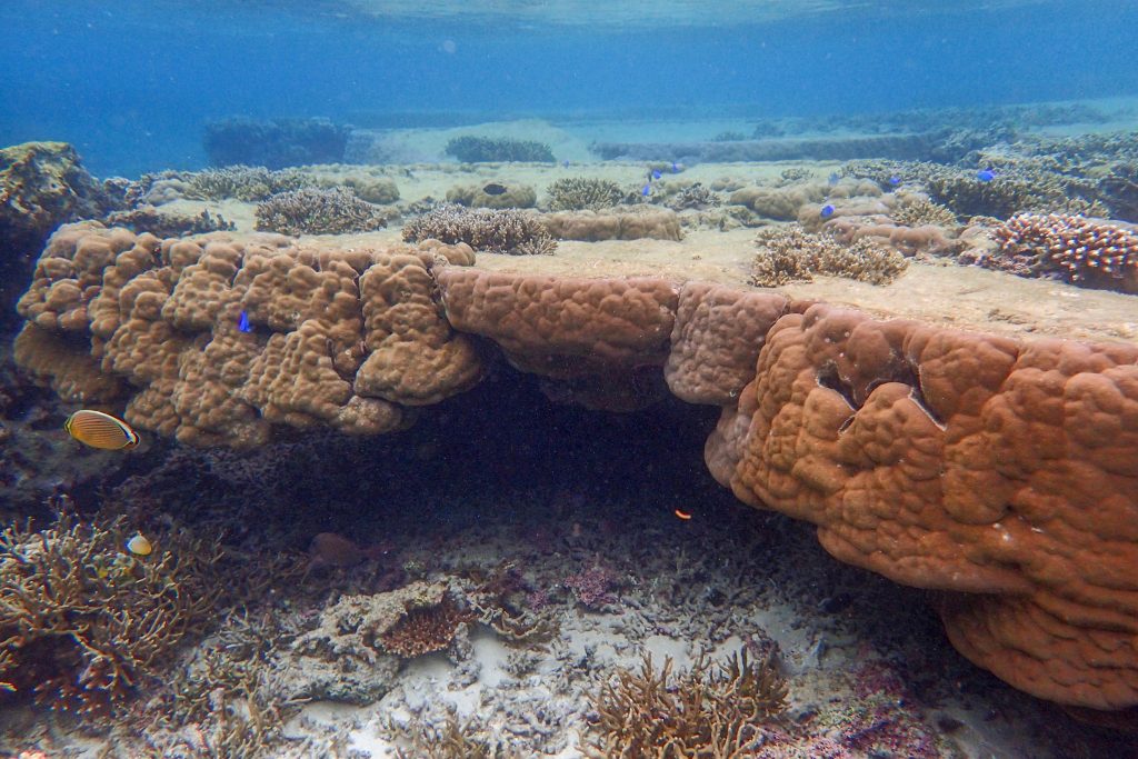 ホテルの目の前の海の中の画像