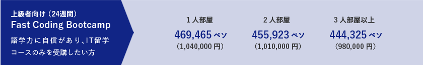 上級者向け（27週間）Fast Coding Bootcamp　語彙力に自身があり、IT留学コースのみを受講したい方