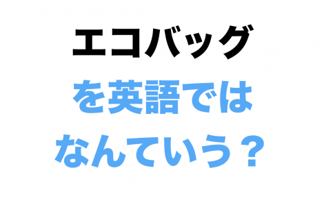 エコバッグを英語でなんという画像